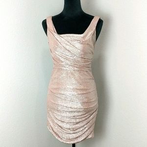 Champagne Sheath Dress by Express